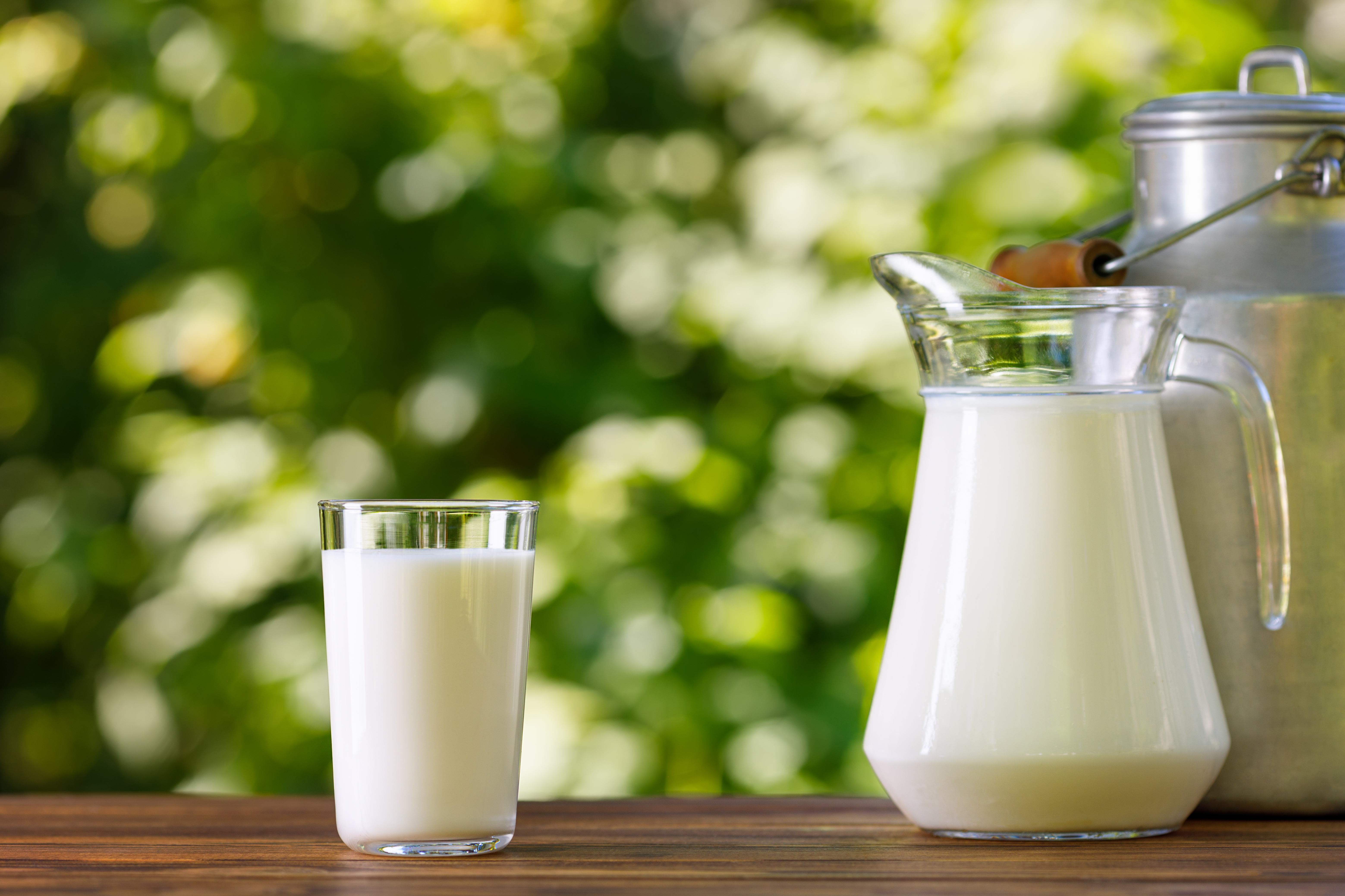Milk
