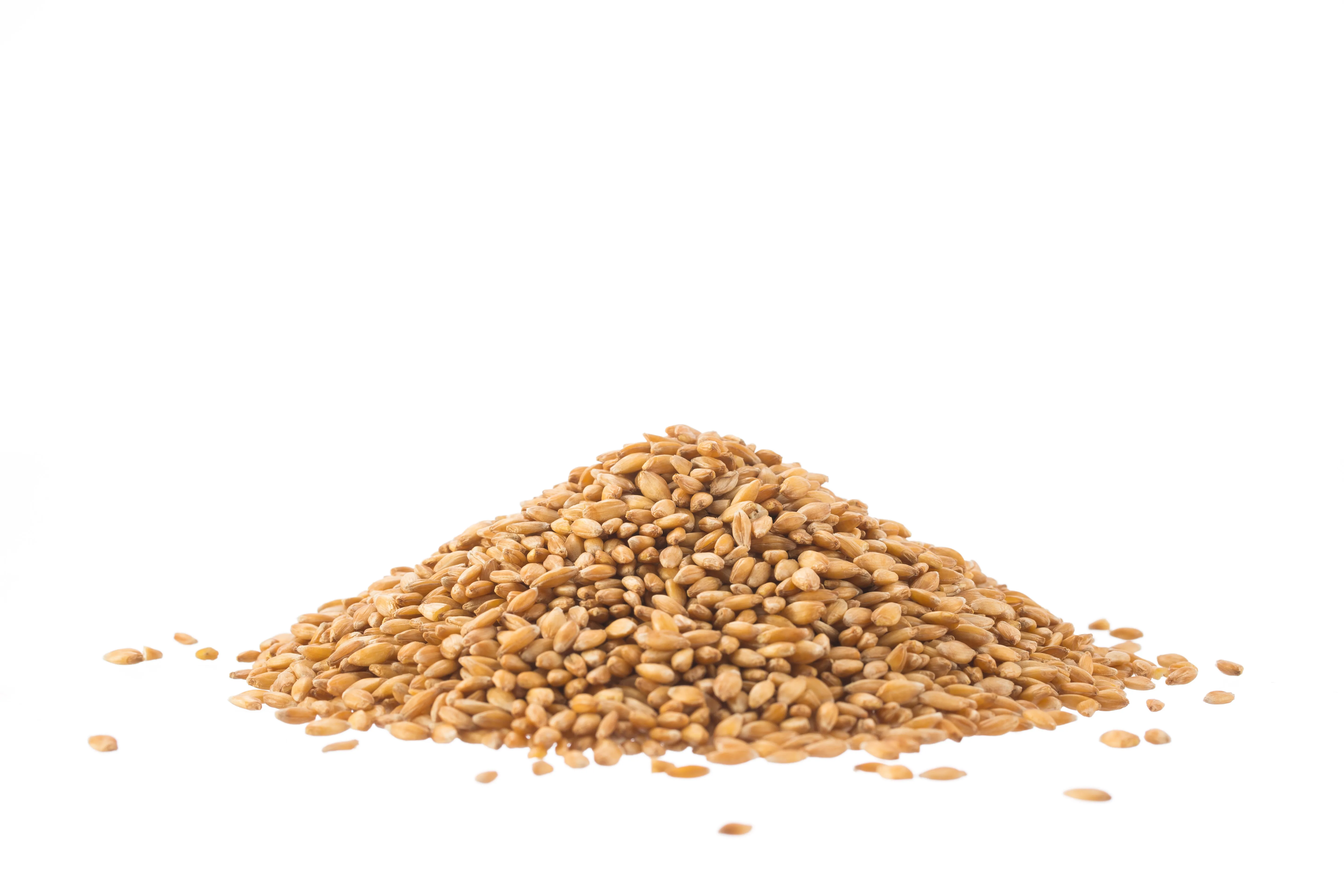 Spelt